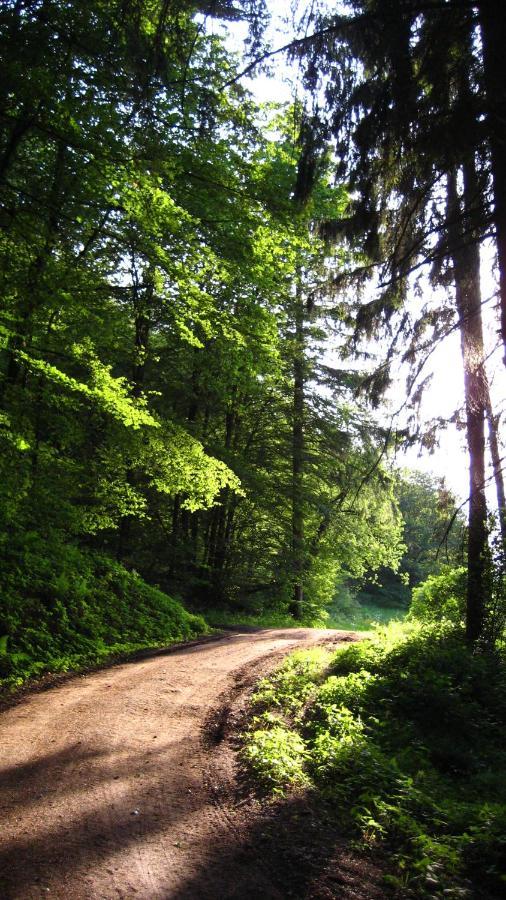 Gaestezimmer Waldblick Wimbach ภายนอก รูปภาพ