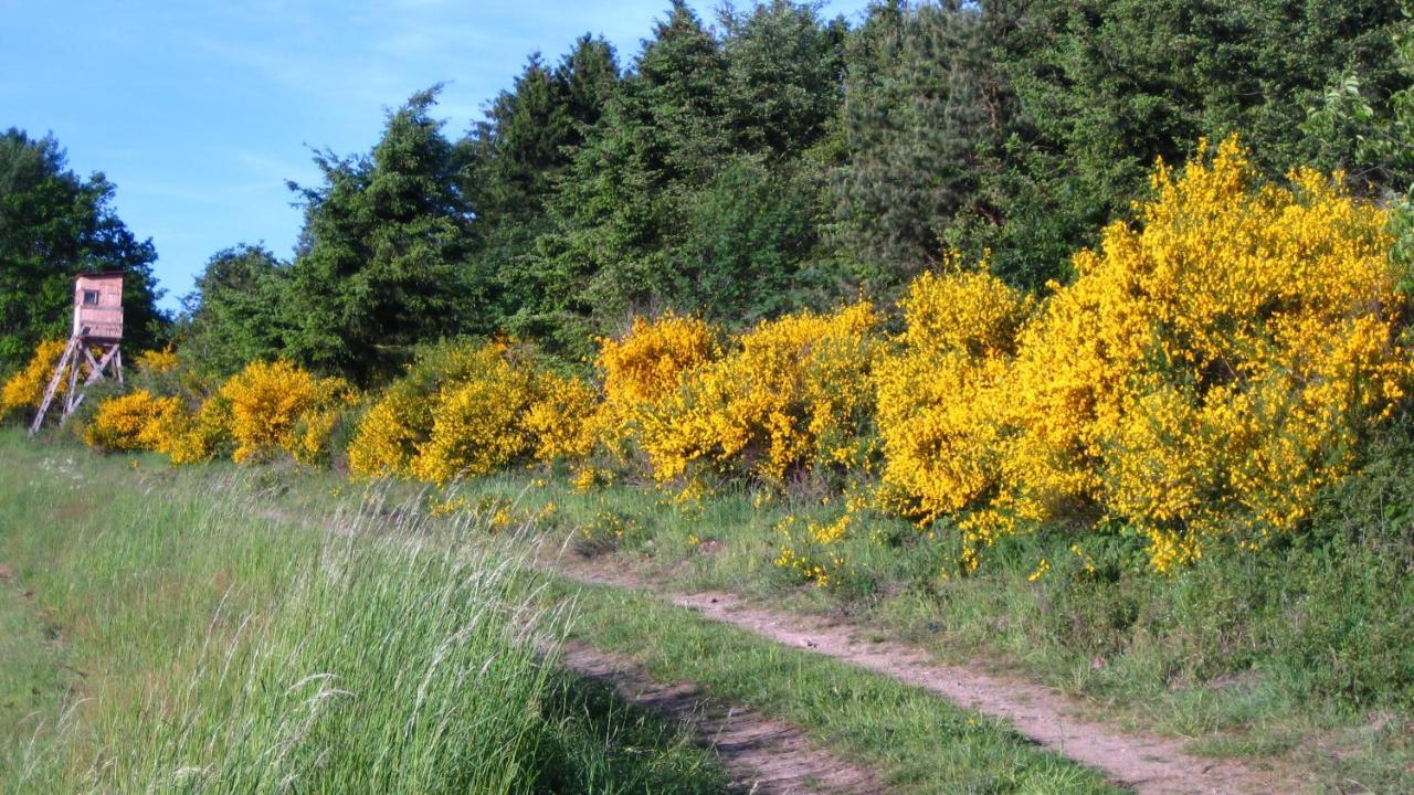 Gaestezimmer Waldblick Wimbach ภายนอก รูปภาพ