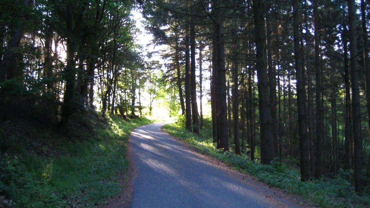 Gaestezimmer Waldblick Wimbach ภายนอก รูปภาพ